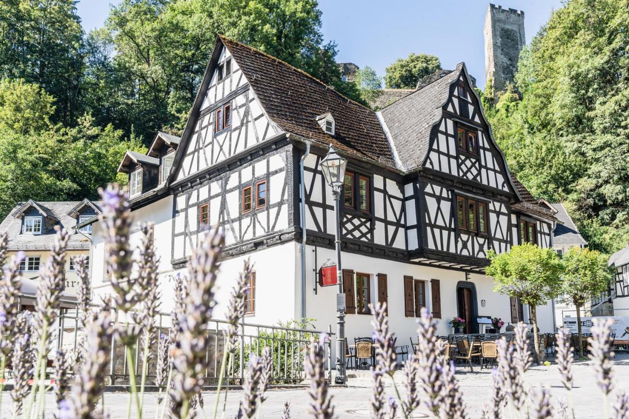 Landgasthof Zur Burg Grenzau Хёр-Гренцхаузен Экстерьер фото
